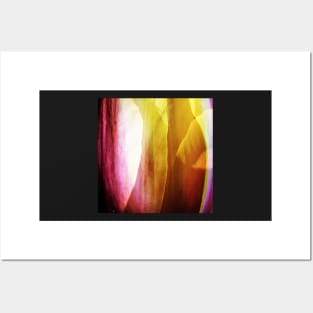 Tender tulip petals | Abstract Posters and Art